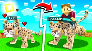 HOW TO TAME A PET CHEETAH In MINECRAFT
