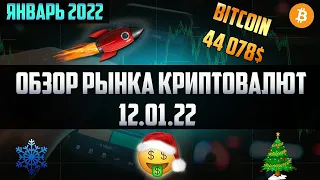 Обзор рынка криптовалют 12.01.22. Январь 2022. Медвежка продолжается? Крипта - скам. Хомяки негодуют