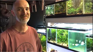 Local Breeder FISH ROOM TOUR!!!