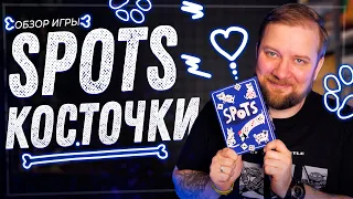 Косточки (Spots) - Обзор настольной игры