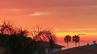 7:50 of Evolution of the Sunset with Natural Sounds of Birds, Wind.. for Meditation, Insomnia, Relax