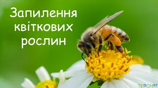 Запилення квіткових рослин