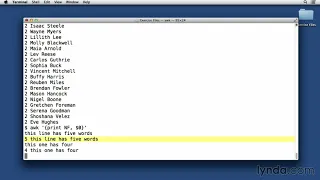 03 03 Using AWK command line flags