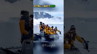 They all got surprised by this Little penguin 🥺❤️ #shorts #rescue