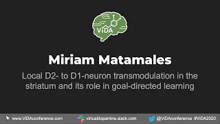 Miriam Matamales - Local D2- to D1-neuron transmodulation in the striatum