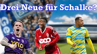 Donkor, Balikwisha und Verlinden zu Schalke? | Transfergerüchte im Check