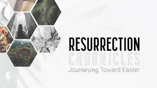 Black Saturday | Resurrection Chronicles