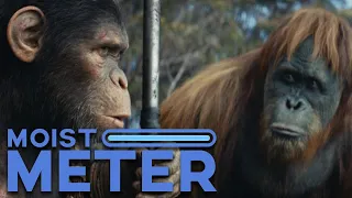 Moist Meter | Kingdom of the Planet of the Apes