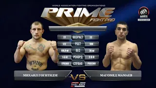 Михаил Гогитидзе vs. Магомед Мамаев | Mikhail Gogitidze vs. Magomed Mamaev | TKFC