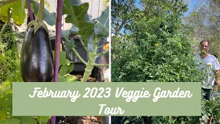 Tour of Veggie Garden February 2023 . Organic gardening zone 9b