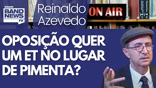 Reinaldo: Crítica a Pimenta como autoridade federal no RS é estúpida; Lula deveria nomear um ET?