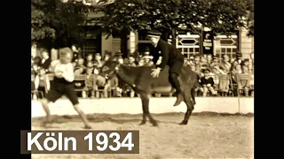 Köln 1934 - Freiluftzirkus in Lindenthal - Esel-Rodeo - Family Circus