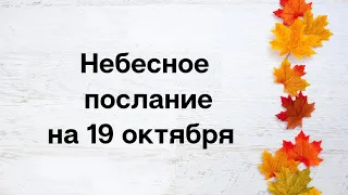 Небесное послание на 19 октября. Наш разум.