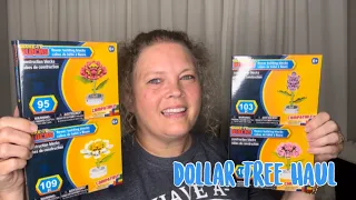 New Finds at The Dollar Tree | May 27, 2024