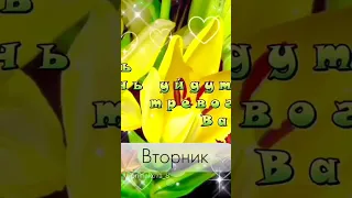 Доброе утро ☕ Вторник 🌹❤️