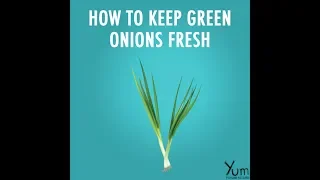 How to Keep Green Onions Fresh