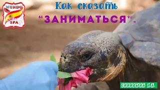 148. Как сказать "Заниматься".