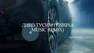 Дико Тусим - Даня Милохин & Николай Басков (TISHINA MUSIC Remix)
