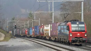 Cargo Trains in Hornussen, Switzerland January 2024