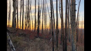 Idaho Mule Deer Hunt 2018 - Frank Church/River of No Return Wilderness (UNSUCCESSFUL)