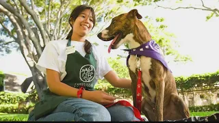 Hawaii Humane Society