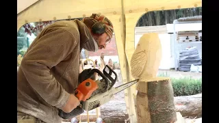 CHAINSAW CARVING AN OWL FROM START TO FINISH | CHAINSAW CARVINGS BY MARK TAYLOR