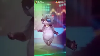 Disco dancer cat