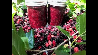 Mulberry Jam  ( low or no sugar)