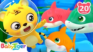 Baby Shark Doo Doo & More Animal Songs & Nursery Rhymes for Toddlers | Animals For Kids - BabyTiger