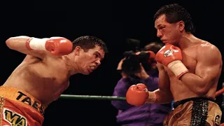 Julio César Chávez vs Tony Lopez - Highlights (EL GRAN CAMPEON MEXICANO)