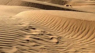Когда появились пустыни