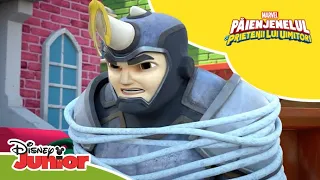 🦏 Nu azi, Rinocer! | Păienjenelul Marvel și prietenii lui uimitori | Disney Junior România