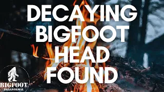 Found Decaying BIGFOOT Head In Frozen Sandbar | Over 1 Hour SASQUATCH ENCOUNTERS PODCAST