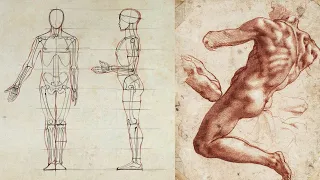 Human Figure Proportions