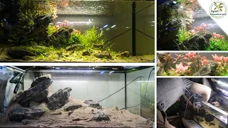 Put them on yourself at home! Simple steps for everyone! 100l Aquarium.