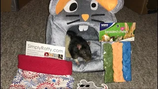 Reviewing July's Ratty Box (A Rat Subscription Service!)