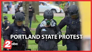 KATU's Digicast discusses PSU protests and Washington's runaway zebra