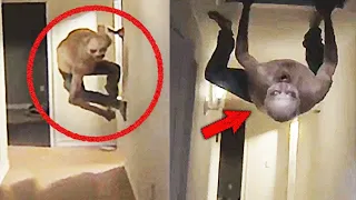 30 Scary Videos To Hide From In The Comments