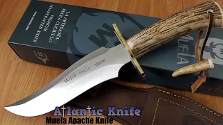 MUELA APACHE BOWIE STAG HANDLE 440A STAINLESS FIXED KNIFE W/ BELT SHEATH 93102