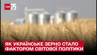 🌾 Як українське зерно стало фактором світової політики – ТСН