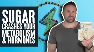 Sugar Crashes Your Metabolism & Hormones? | What the Fitness | Biolayne