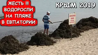 💥КРЫМ.👉ВОДОРОСЛИ НА ПЛЯЖЕ В ЕВПАТОРИИ.🔥ПОЛНЫЙ ПЛЯЖ ЛЮДЕЙ.👉Хочу в Крым 2021!!!