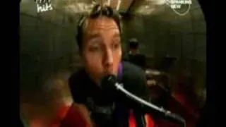 Blink 182 - Rollercoaster