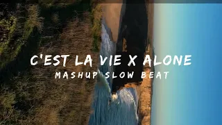 DJ CAMPURAN TIKTOK - C'EST LA VIE X ALONE MASHUP ( Melody Santuy )