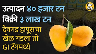 Devgad Alphonso mango मुळे खाणारे, पिकवणारे नाराज आहेत अन् गब्बर होणारे वेगळेच आहेत  | Bol Bhidu