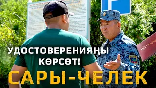 САРЫ-ЧЕЛЕК ЭМНЕГЕ ОНОЛБОЙТ?