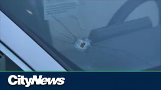 Details emerge in Edmonton drive-by shootout