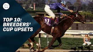 Order of Australia, Marche Lorraine, Spain - some of the greatest upsets in the Breeders' Cup