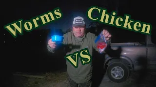 Nightcrawlers vs Kool-aid Chicken | In The Wild