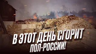 🔥 Пилорамы ПЫЛАЮТ одна за другой. Россия ГОРИТ в прямом смысле! | ФЕЙГИН и МАЛЬЦЕВ